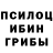 Галлюциногенные грибы Cubensis Svetlana vvv