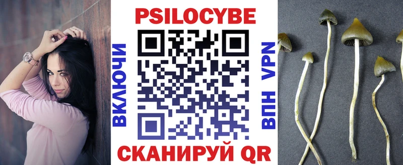 цена Каспийск Галлюциногенные грибы Psilocybe